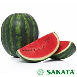 СЕНСЕЙ F1 / SENSEI F1 - семена арбуза, Sakata