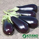 КС 1258 F1 / KS 1258 F1 - насіння баклажана, Kitano Seeds