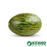 КС 775 F1 / KS 775 F1 - насіння дині, Kitano Seeds