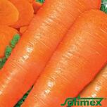 ЛОНГ РОТЕ ШТУМПФЕ / LONG ROTE SHTUMPFE - насіння моркви, Satimex