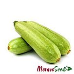 ВАНДА / VANDA - насіння кабачка, Moravoseed