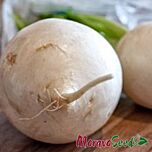 АСТОР / ASTOR - насіння редьки, Moravoseed