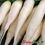 СВІТЛЯЧОК / SVETLIACHOK - насіння редису, Moravoseed