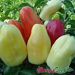 БОНЕТА / BONETA - насіння перцю, Moravoseed