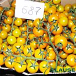 ГОЛДВІН F1 / GOLDVIN F1 - насіння томату, Clause