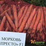 ПРЕСТО F1 / PRESTO F1 - семена моркови, Hazera