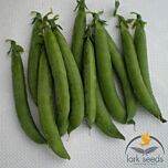 ПРОДИДЖИ / PRODIDZHI - семена гороха, Spark Seeds