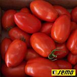 РІО ГРАНДЕ / RIO GRANDE - насіння томата (помідора), Semo