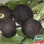 КРУГЛА ЧОРНА / ROUND BLACK - насіння редьки, Sais