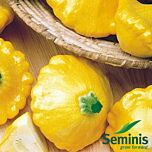 САННІ ДЕЛАЙТ F1 / SUNNY DELIGHT F1 - насіння патисона, Seminis