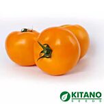ЯМАМОТО (КС 10) F1 / IAMAMOTO (KS 10) F1 - насіння томата (помідора), Kitano Seeds
