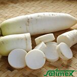 ДАЙКОН / DAIKON - насіння редьки, Satimex