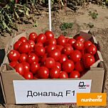ДОНАЛЬД F1 / DONALD F1 - насіння томата (помідора), Nunhems