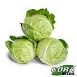ГЛОБУС F1 / GLOBUS F1 - насіння білоголової капусти, Cora Seeds