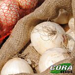 ХИДРАС F1 / HIDRAS F1 - семена лука, Cora Seeds