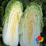 ОРІЄНТ СТАР F1 / ORIENT STAR F1 - насіння пекінської капусти, Takii Seeds