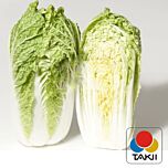 ЕНДУРО F1 / ENDURO F1 - насіння пекінської капусти, Takii Seeds