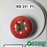 КС 311 F1 / KS 311 F1 - насіння томата (помідора), Kitano Seeds