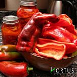 МАРКОНІ РЕД / MARKONI RED - насіння перцю, Hortus