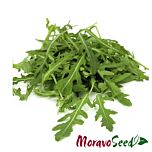 РОКЕТ САЛАТ / ROKET SALAT - насіння руколи, Moravoseed