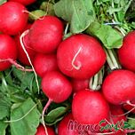 ЕСТЕР / ESTER - насіння редису, Moravoseed