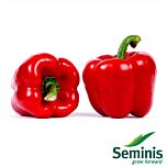 АРІСТОТЕЛЬ X3R F1 / ARISTOTEL X3R F1 - насіння перцю, Seminis