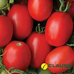 ДІНО F1 / DYNO F1 - насіння детермінантного томату, Clause