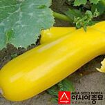ПЛ 6010 F1 / PL 6010 F1 - семена кабачка, Asia Seed