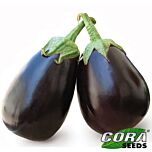 САРА (CRX 50129) F1 / SARA (CRX 50129) F1 - насіння баклажана, Cora Seeds