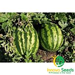 АВАЛОН F1 / AVALON F1 - насіння кавуна, INNOVA SEEDS