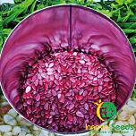КРЫМСОН СВИТ / CRIMSON SWEET - семена арбуза, INNOVA SEEDS