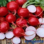 РОНДАР F1 / RONDAR F1 - семена редиса, Syngenta