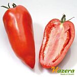 КОРНАБЕЛЬ F1 / KORNABEL F1 - насіння томата (помідора), Hazera