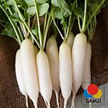 ТІ-150 F1 - насіння редьки, Takii Seeds