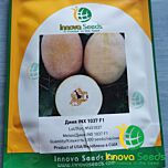 ЕМИ (ИНХ 1037) F1 / INX 1037 F1 - семена дыни, INNOVA SEEDS