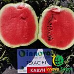 ТЕХАС (ІНХ 1724) F1 / TEXAS (INX 1724) F1 - насіння кавуна, INNOVA SEEDS