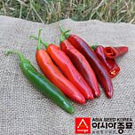 ПЛ 6221 F1 / PL 6221 F1 - семена перца, Asia Seed