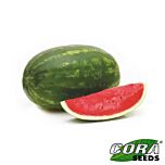 РЕГИНА F1 / REGINA F1 - насіння кавуна, Cora Seeds