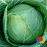 ЧИРЗ F1 / CHIRZ F1 - семена белокачанной капусты, Takii Seeds