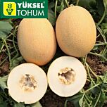 ЛОКУМ F1 / LOKUM F1 - семена дыни, Yuksel Tohum