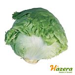 АВІРАМ / AVIRAM - насіння салату, Hazera