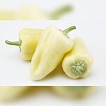 ЦРХ 64011 F1 / CRX 64011 F1 - насіння перцю, Cora Seeds