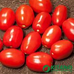 ДЕРІКА (КС 720) F1 / DERIKA (KS 720) F1 - насіння томата (помідора), Kitano Seeds