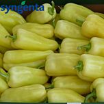 ДИМЕНТИО F1 / DIMENTIO F1 - семена перца сладкого, Syngenta