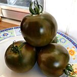 ДЖОРДАНО F1 / DZHORDANO F1 - насіння томата (помідор), Spark Seeds