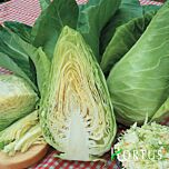 ЕКСПРЕС / EKSPRESS - насіння білоголової капусти, Hortus