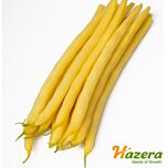 ГОЛДЕН ГОЛ / GOLDEN GOL - семена фасоли, Hazera