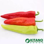 КАМПАЙ F1 / KAMPAI F1 - насіння перцю, Kitano Seeds