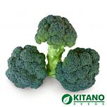 КЕЗІ F1 / KEZZI F1 - насіння капусти броколі, Kitano Seeds