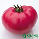 КС 3811 F1 / KS 3811 F1 - насіння томата (помідора), Kitano Seeds